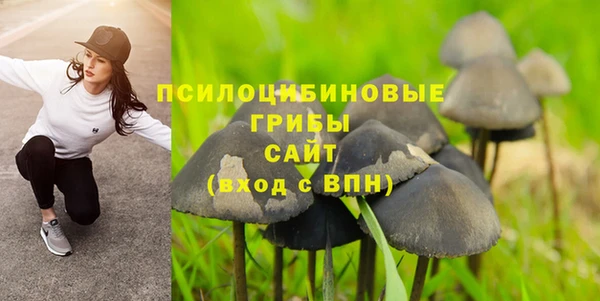 таблы Армянск