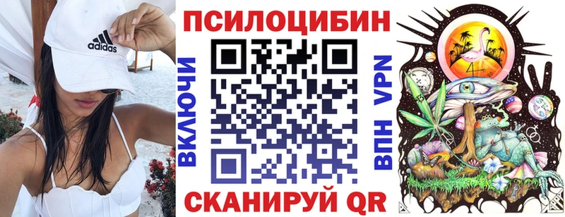 kraken рабочий сайт  Сольцы  Галлюциногенные грибы Psilocybine cubensis 